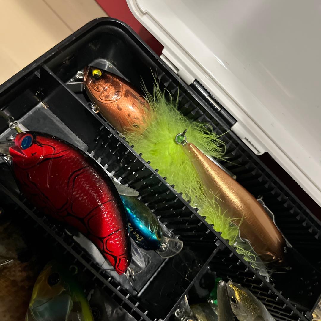 ビッグベイトルアーセット（多色）