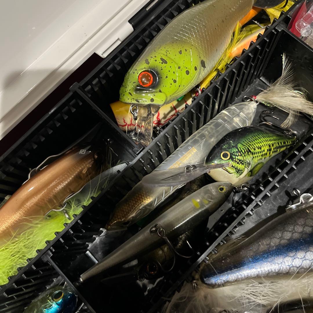 ビッグベイトルアーセット（多色）