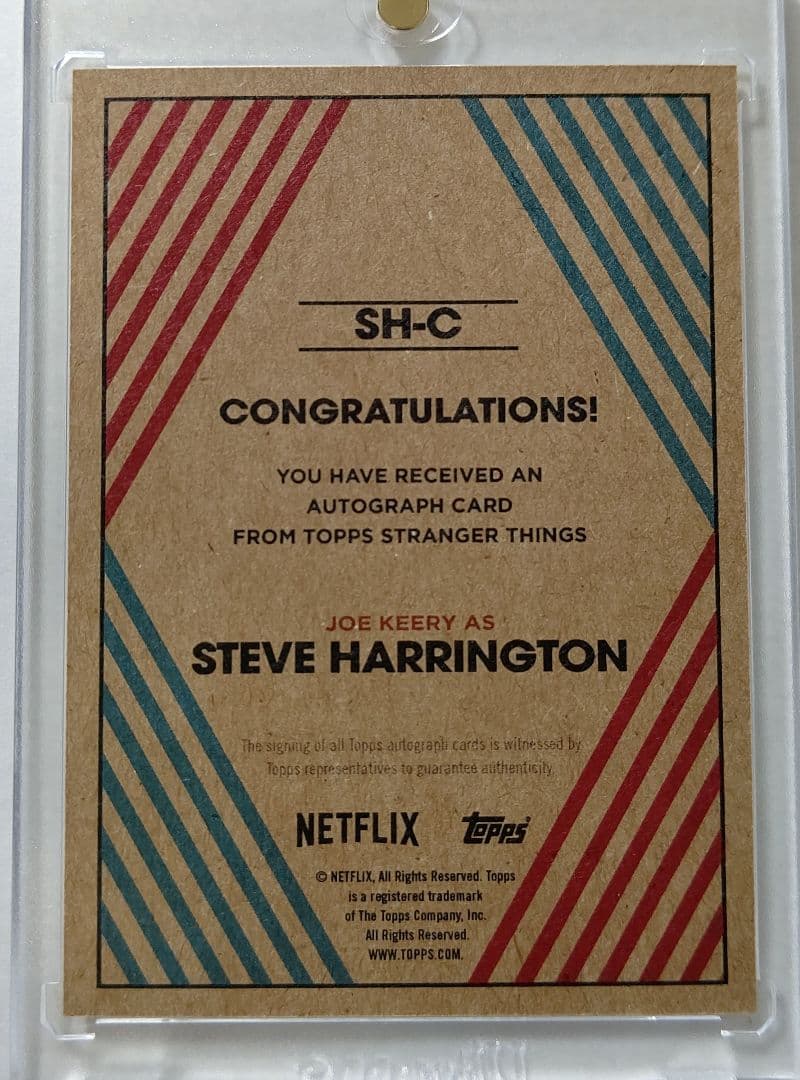 ストレンジャーシングス スティーブ auto サインstrangerthings