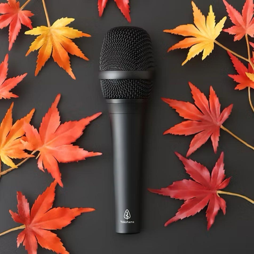 【美品】Yokohama Microphone 横浜マイクロホン momiji