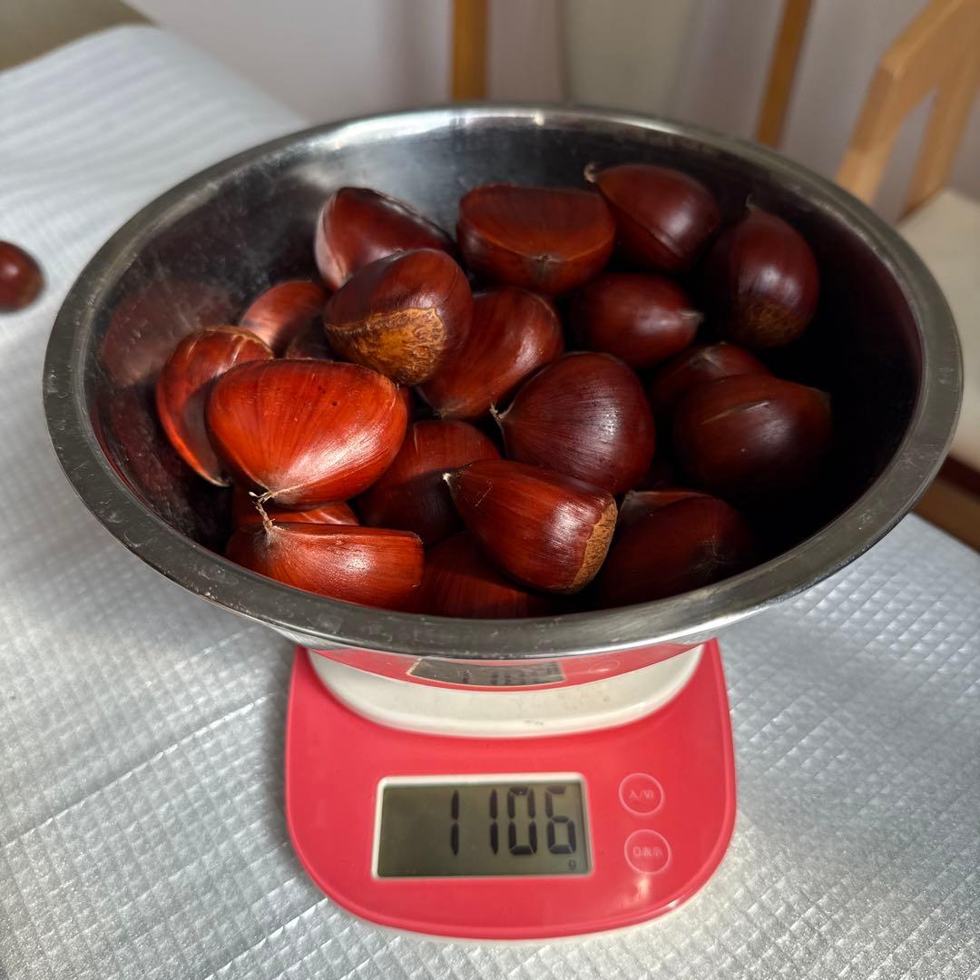 りょこ　10/29か30に発送