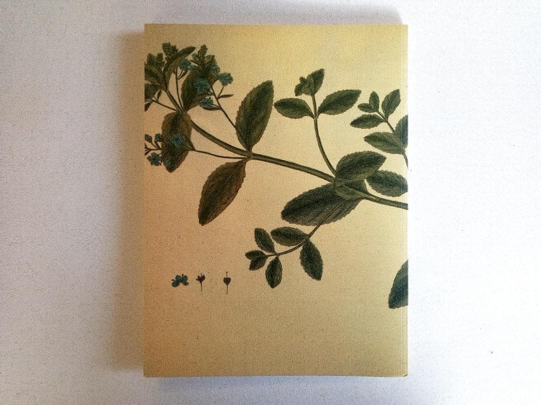 FLORA DANICA　デンマークのボタニカル細密画の世界　1990年代