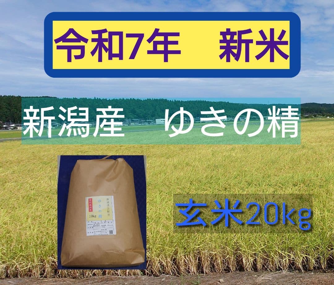 農家直送！新潟米ゆきの精　玄米20kg
