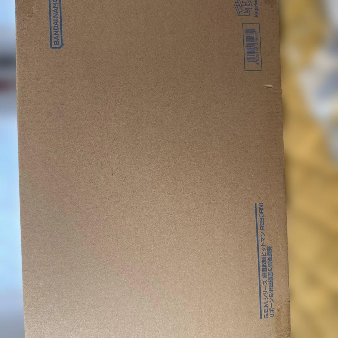 家庭教師ヒットマンREBORN！ 沢田綱吉＆雲雀恭弥＆リボーン　G.E.M