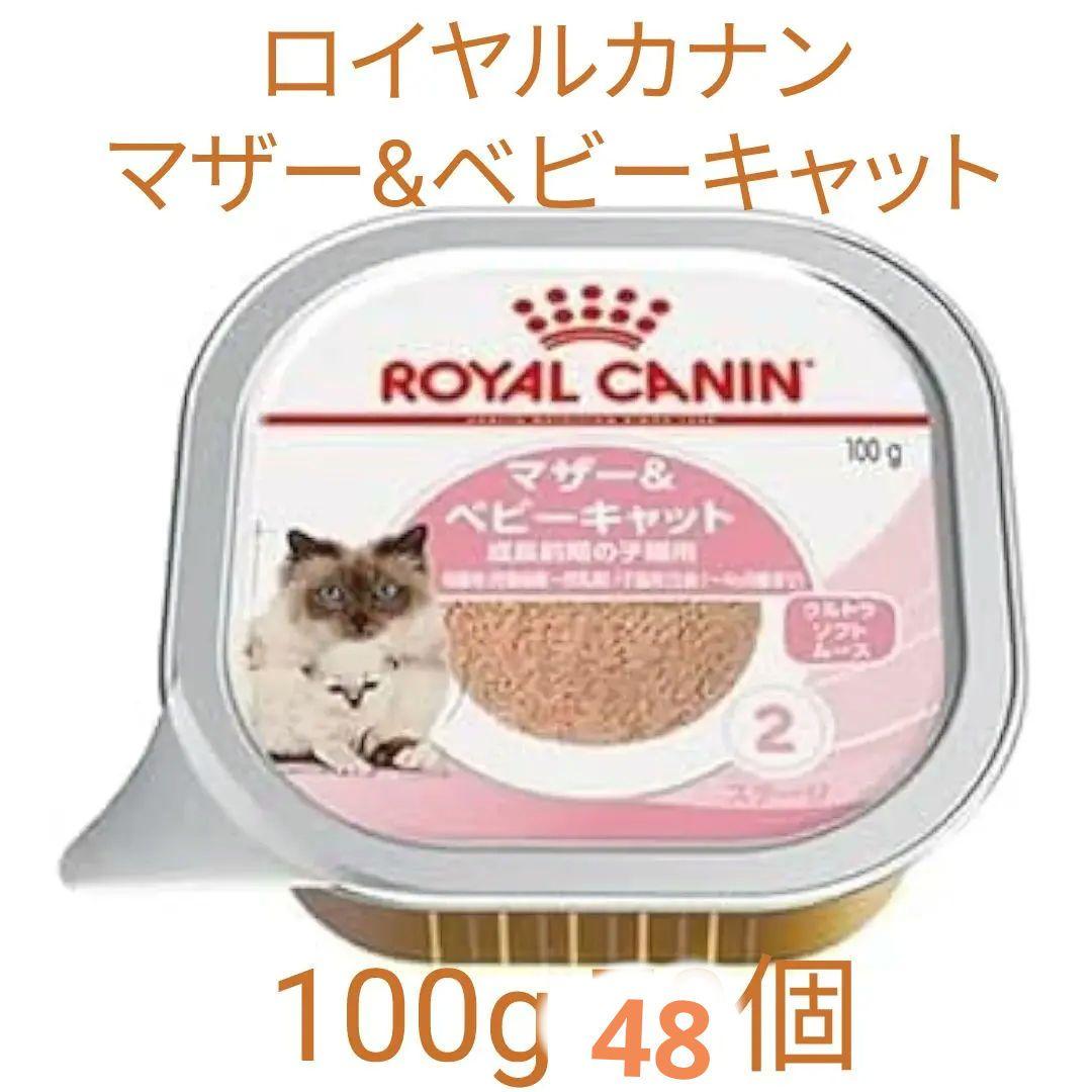  CANIN マザー&ベビーキャット　100g×48個