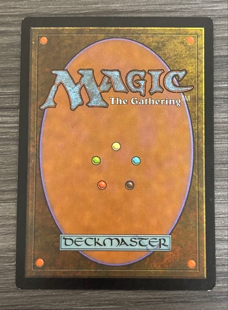 MTG セラの聖域 日本語 1枚