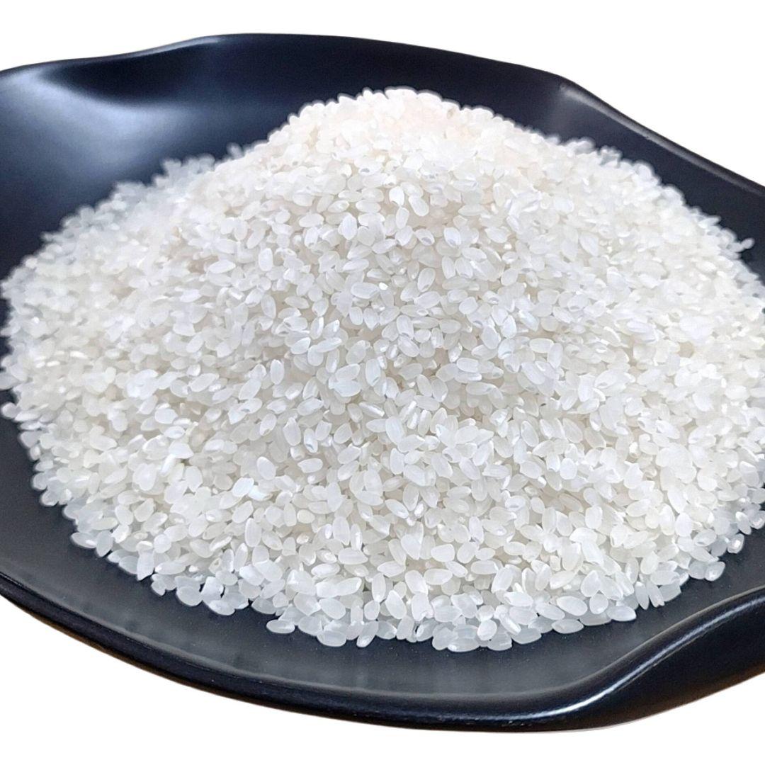 【精米後発送】令和7年産 茨城県産 コシヒカリ 20kg 20キロ ①