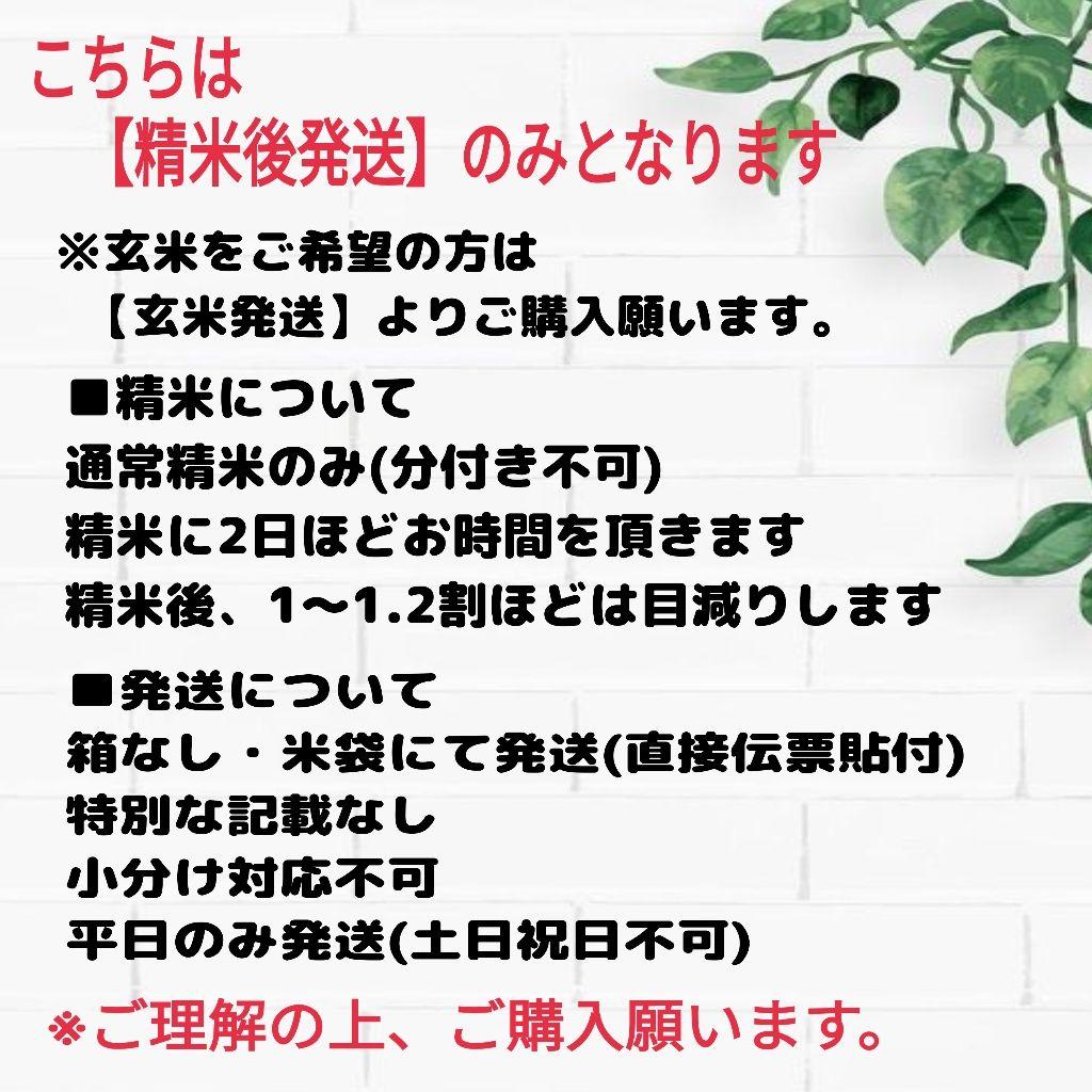 【精米後発送】令和7年産 茨城県産 コシヒカリ 20kg 20キロ ①
