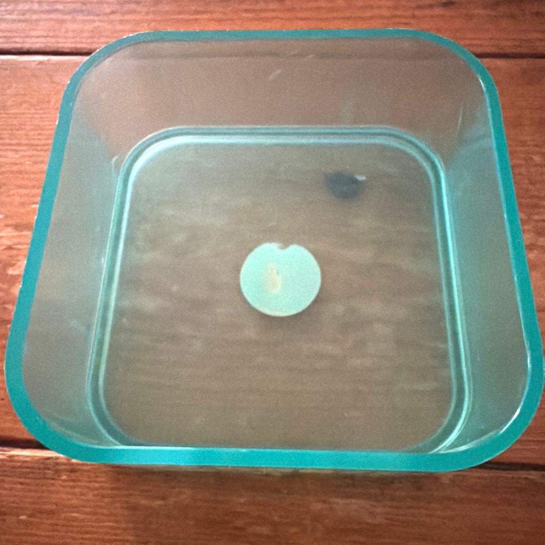 【昭和レトロ】♡ヘッドストロングボンズ♡3段小物入れ♡ファンシー雑貨❣️❣️❣️