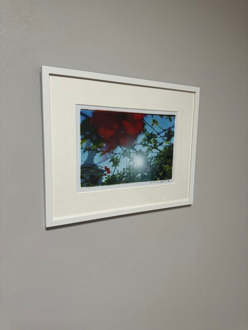 入手困難！蜷川実花　BABY BLUE SKY - 1