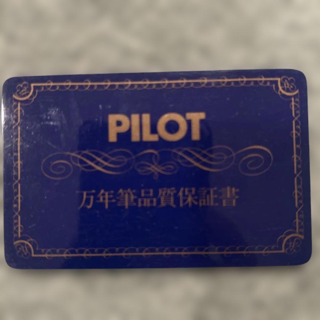 PILOT 万年筆 黒 透明ケース付き
