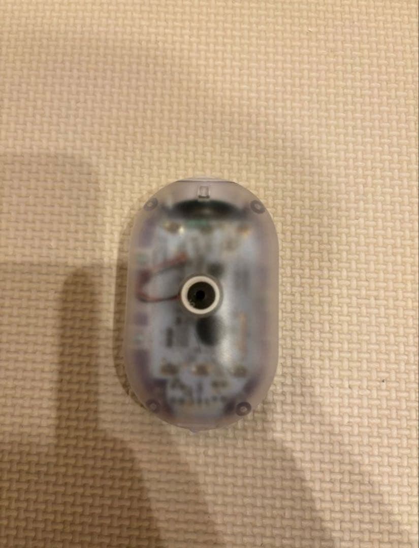 【希少・美品】ポケットモンスター なでておしゃべり♪ きらめきテラパゴス