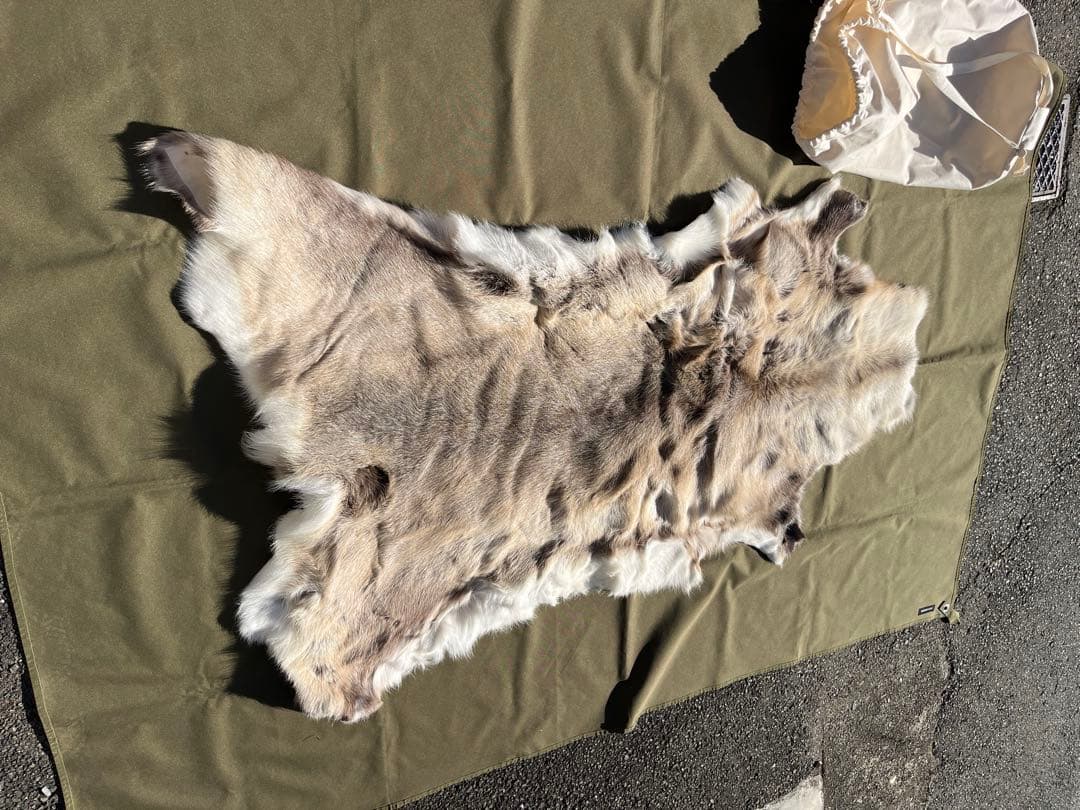 トナカイ　毛皮ラグカーペット