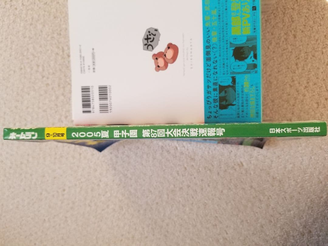 ホームラン2005夏　甲子園大会