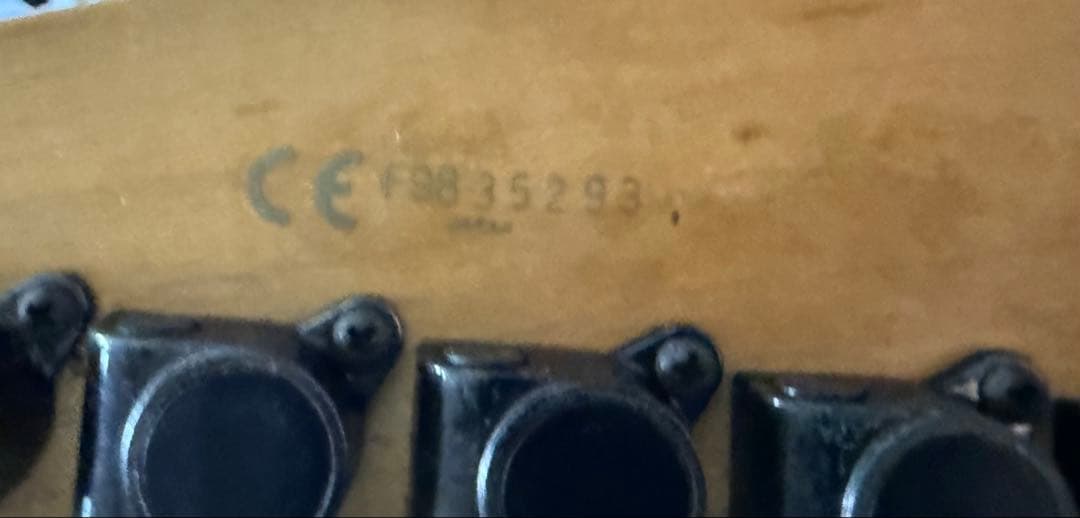 Ibanez PGM300 FUJIGEN ポールギルバート　MR.BIG