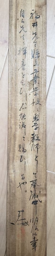 【月下柳に木菟図】福井江亭 2584 ミミズク 梟　掛け軸　肉筆