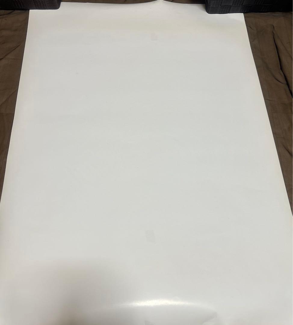 ヒトリエ HITORIE 直筆サイン入りポスター