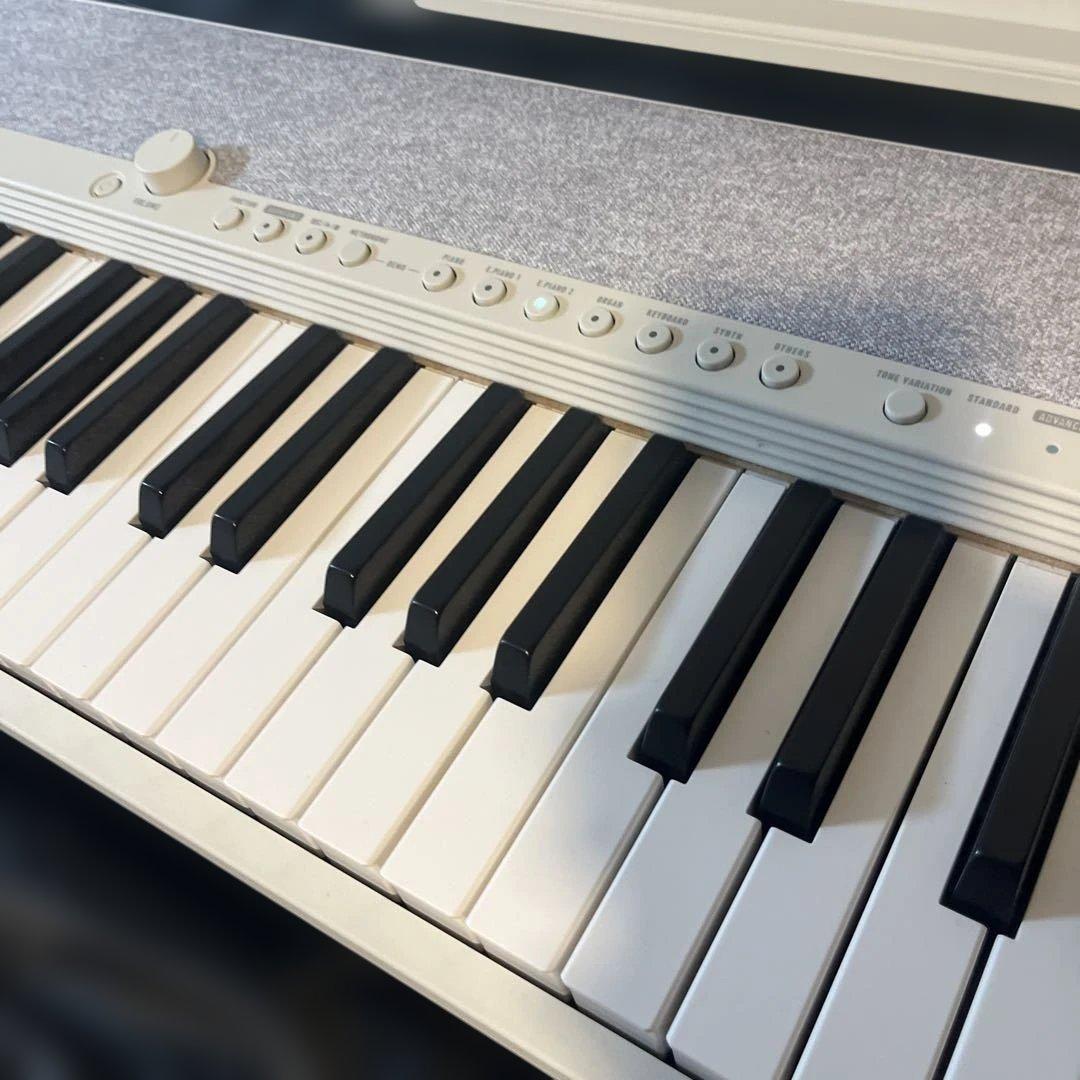 お値下げ済み【CASIO】カシオトーン CT-S1 WE【Casiotone】