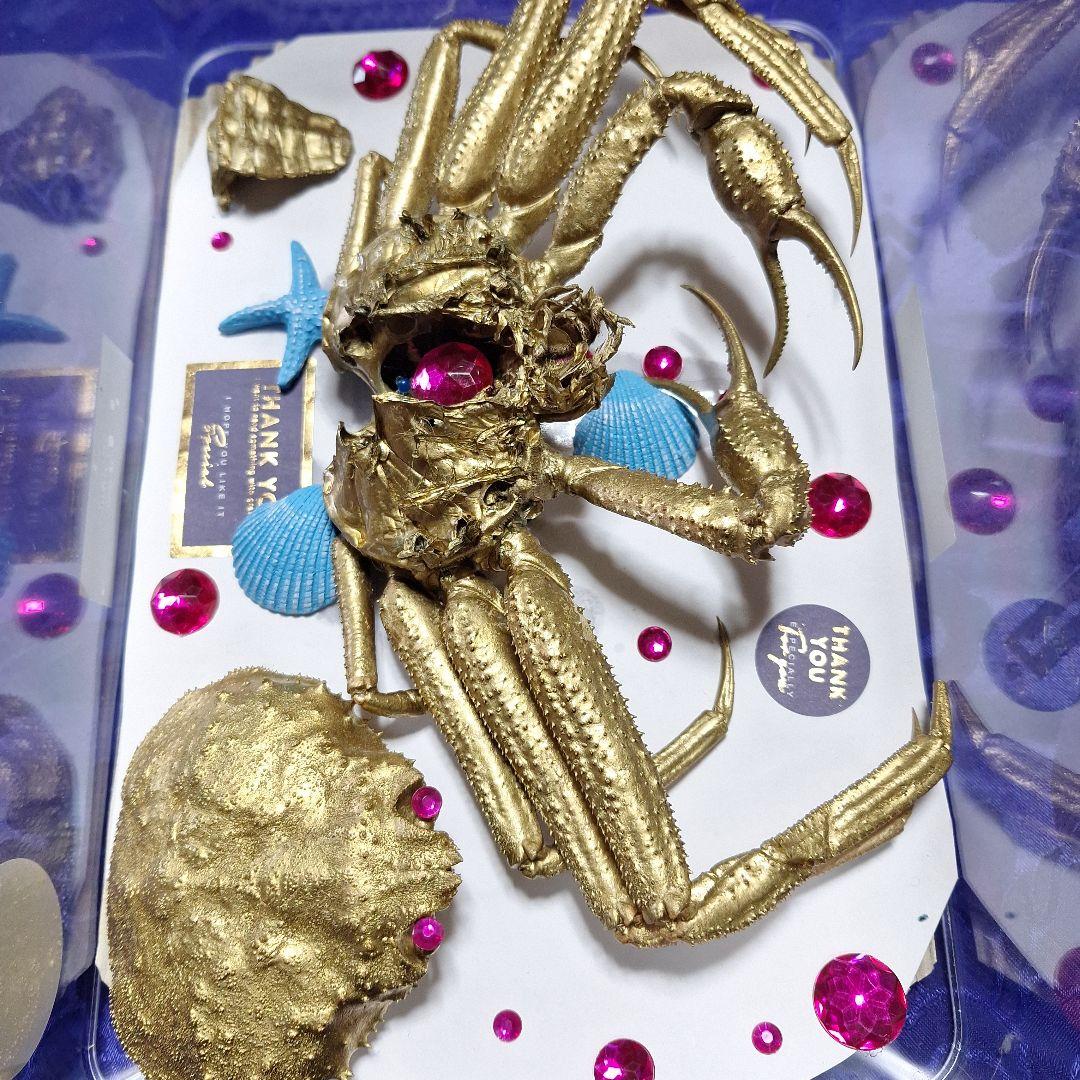 松葉蟹[セコガニ］ゴールドカラーオリジナル全長２３センチ立体リアル標本飾り置物