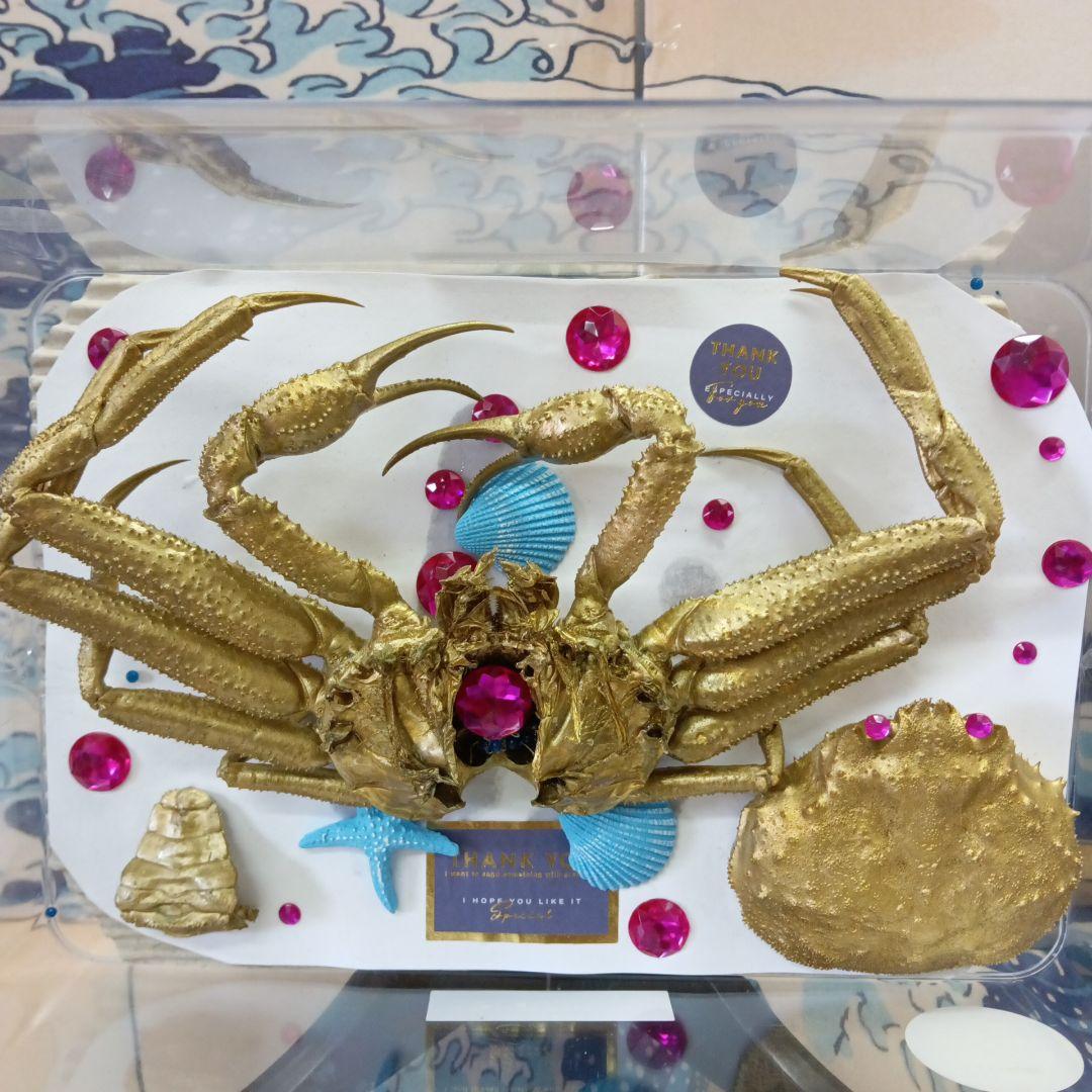 松葉蟹[セコガニ］ゴールドカラーオリジナル全長２３センチ立体リアル標本飾り置物