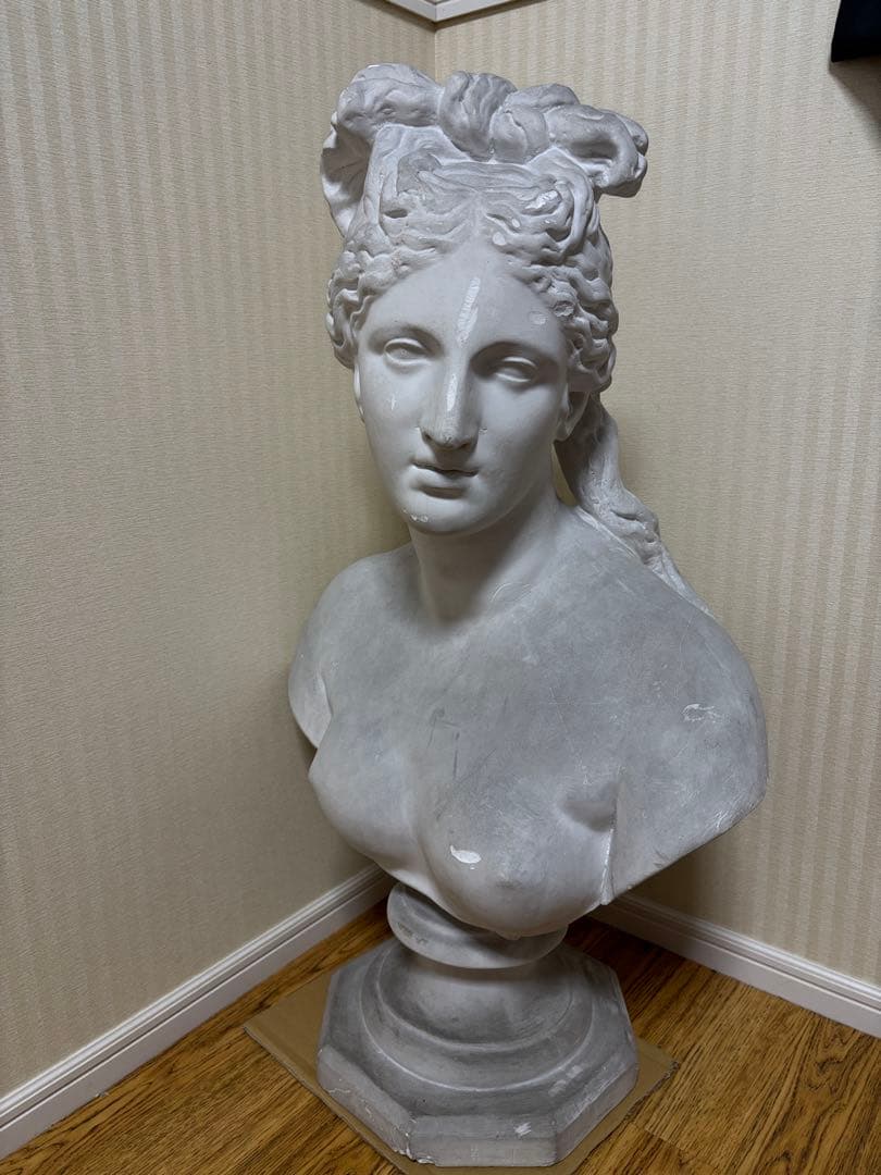 石膏像　カピトリーノのヴィーナス胸像(カッパ)　大型