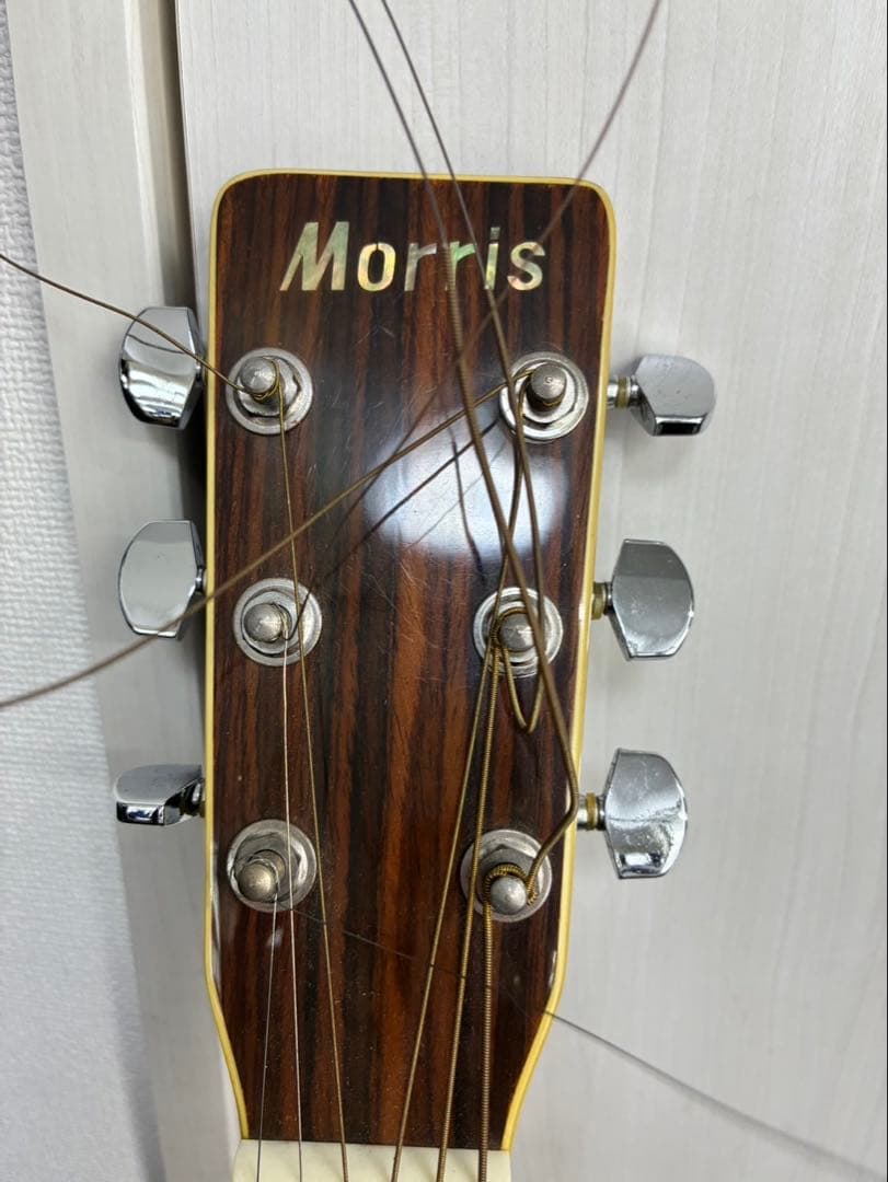 Morris モーリス アコースティックギター 左利き用レフティ ソフトケース付