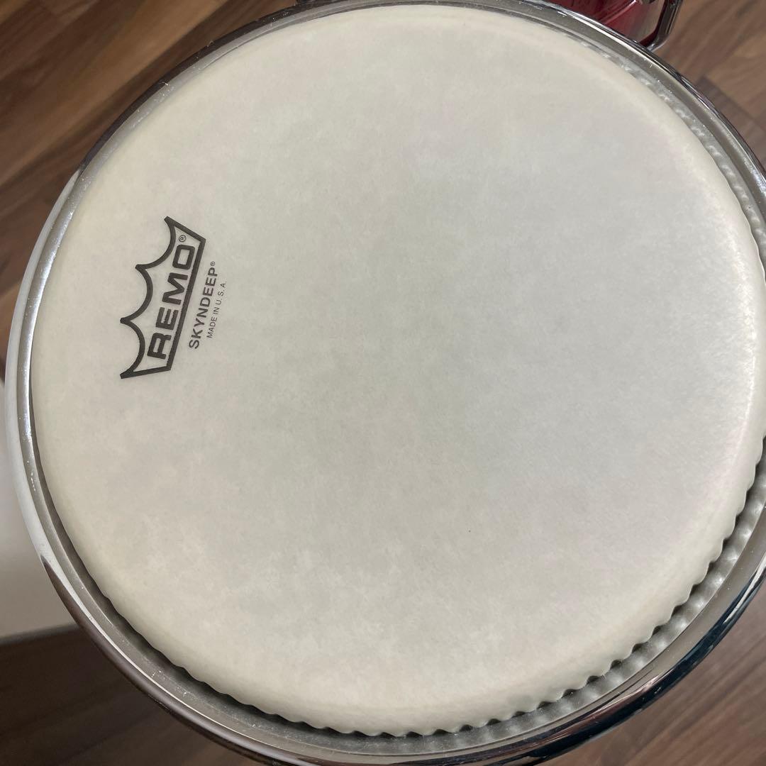 Remoヘッド交換済LP ボンゴ スタンド付き 超美品‼️