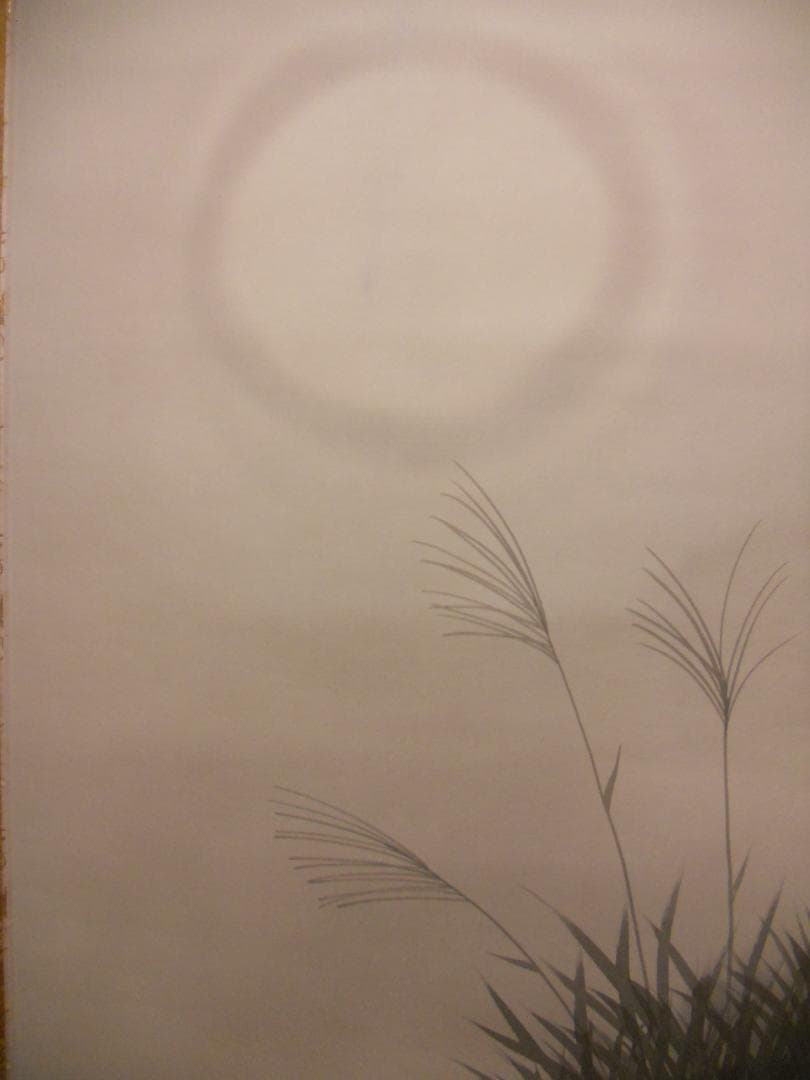 掛け軸 堀田香石 作『 月夜の狸 』 絹本 希少 軸装 茶道具 掛軸 美品 です