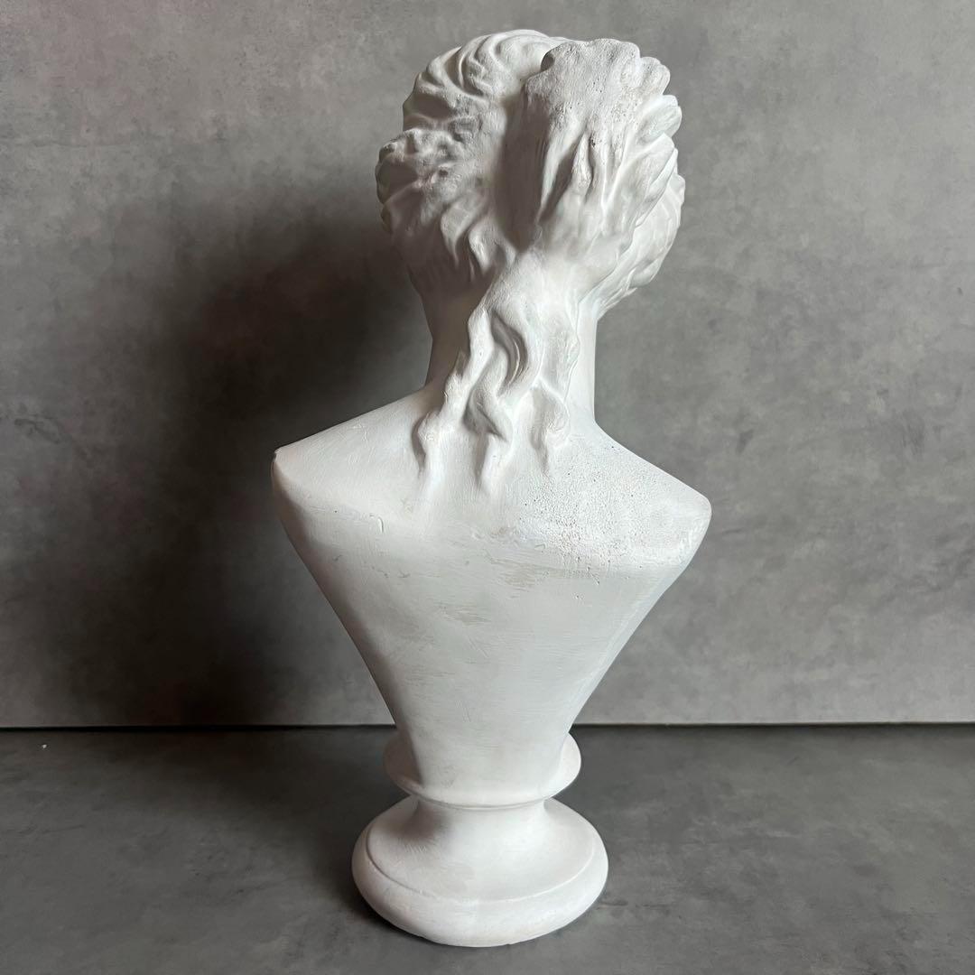希少 ミロのヴィーナス 石膏 胸像 デッサン アート 彫刻 美術 芸術 アート