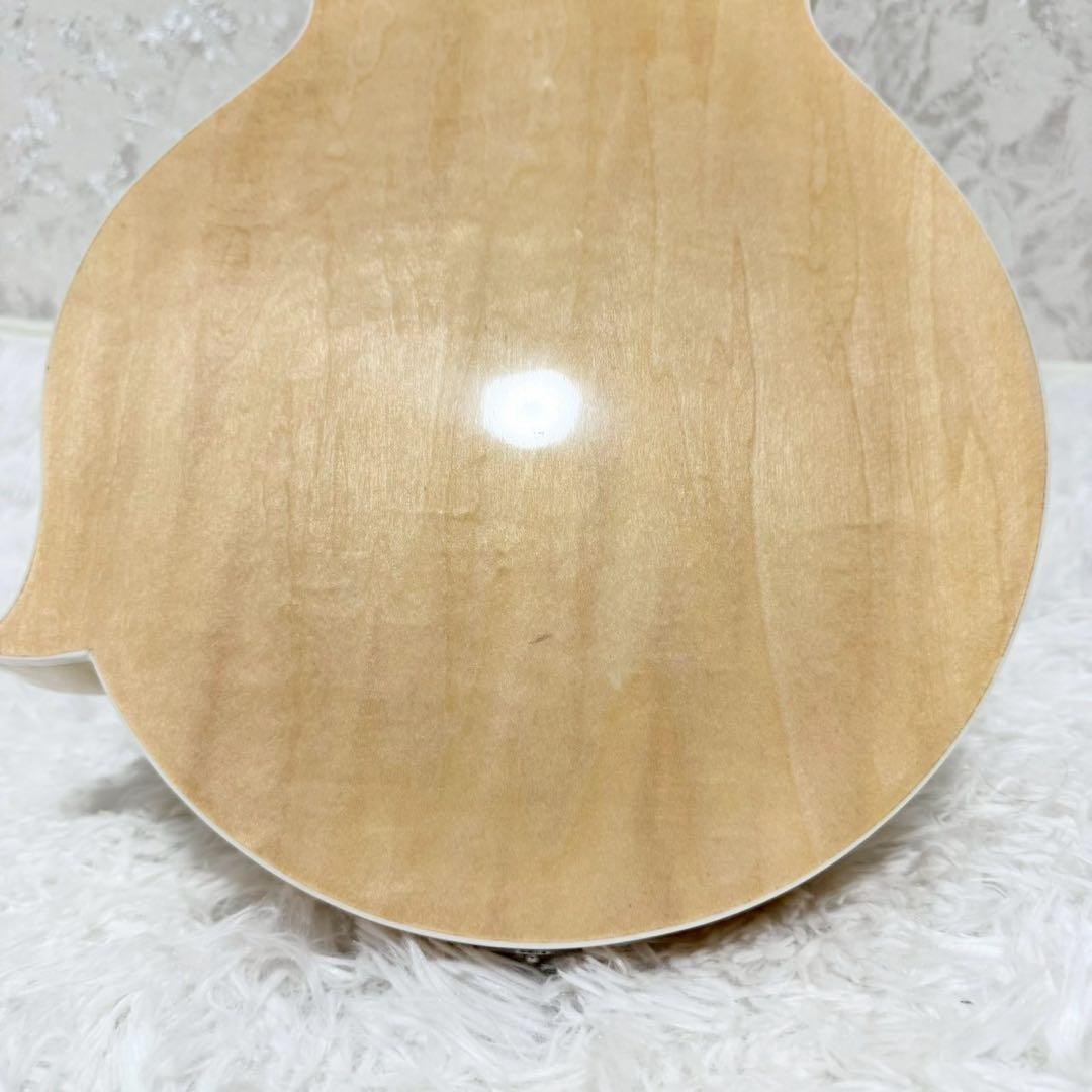 『希少美品』Mylowe フラットマンドリン ハードケース付き