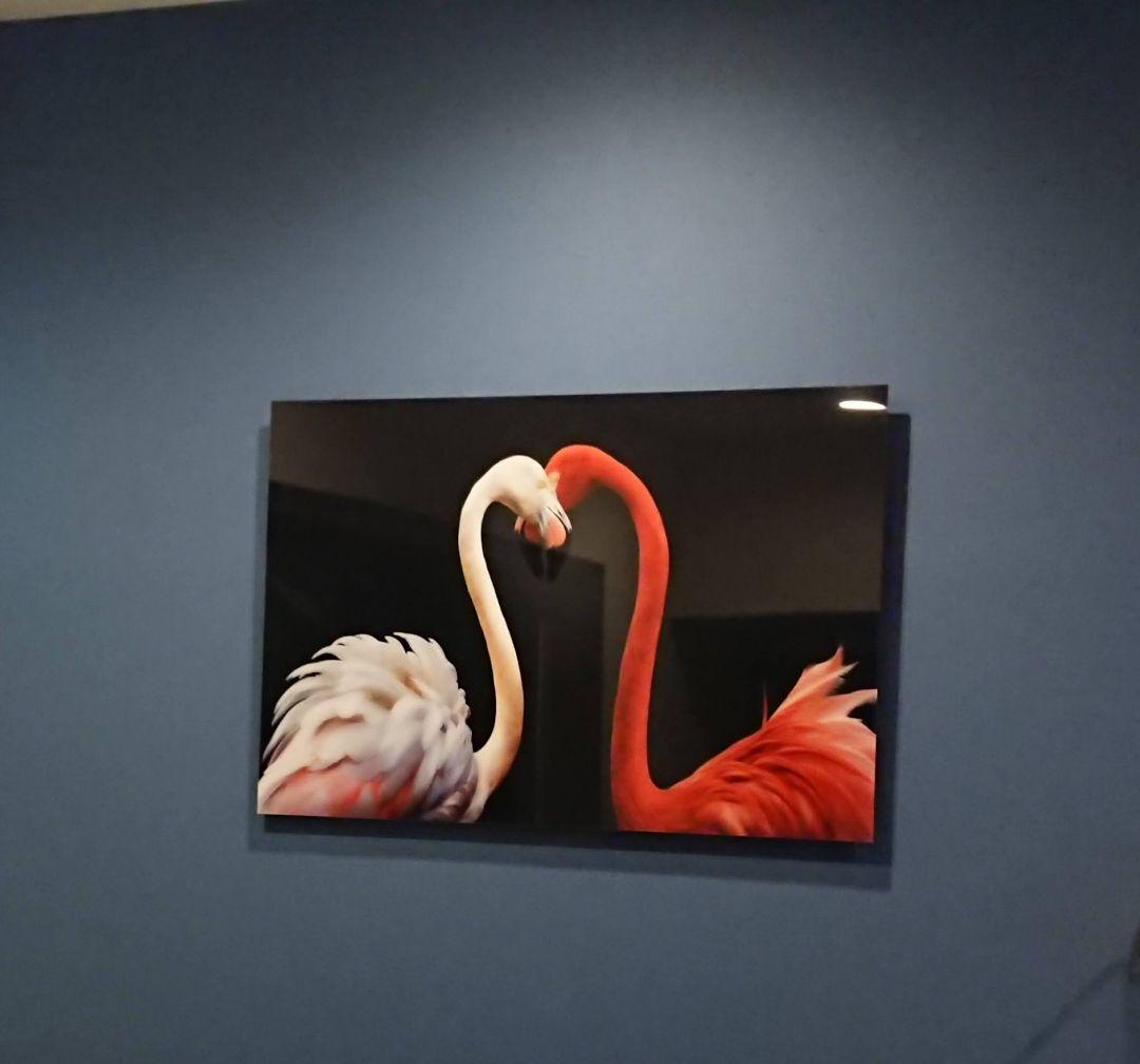 イエローコーナー（YELLOW KORNER）フォトアート