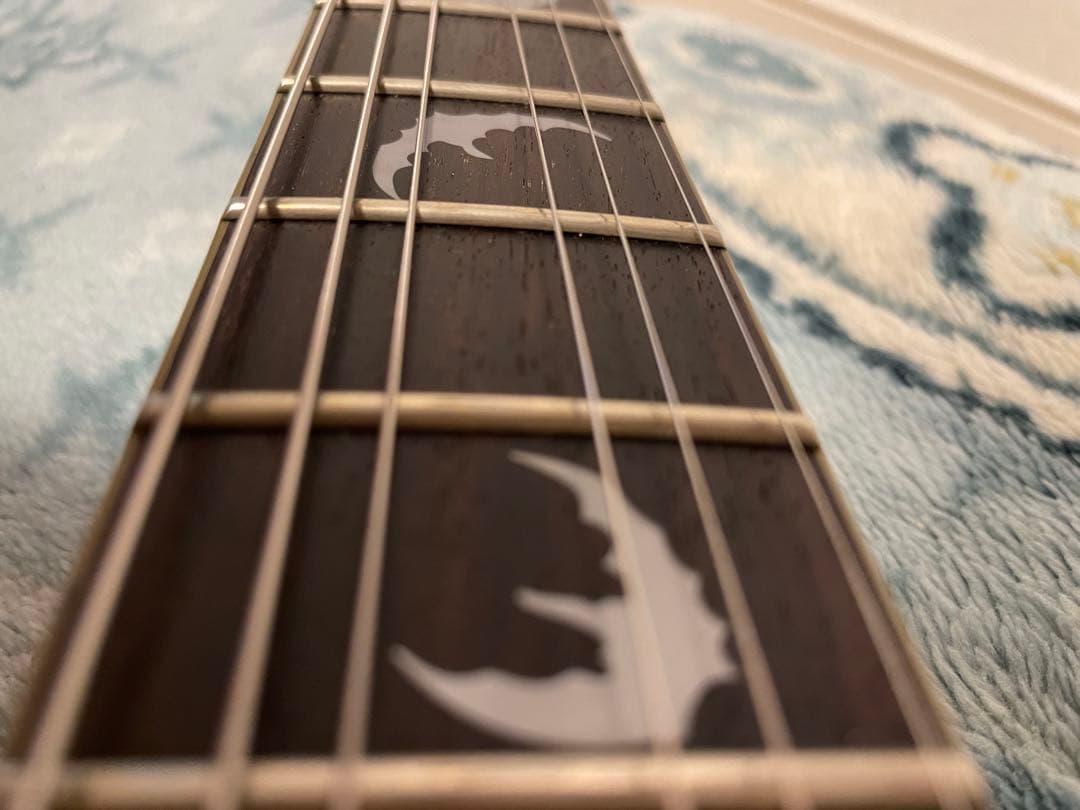 エレキギターシェクターSCHECTER Damien