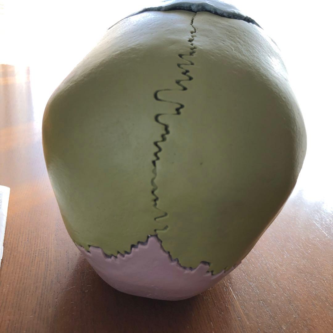 【頭蓋模型】頭蓋骨　3B社 22分解 カラー【※説明文をご参照ください】