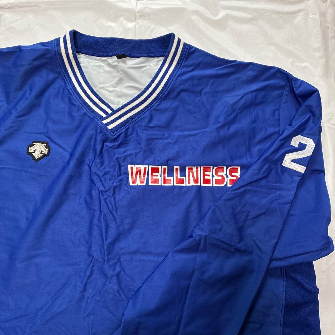 デサント　ウィンドブレーカー　日本ウェルネススポーツ大学　Lサイズ　ISHII入