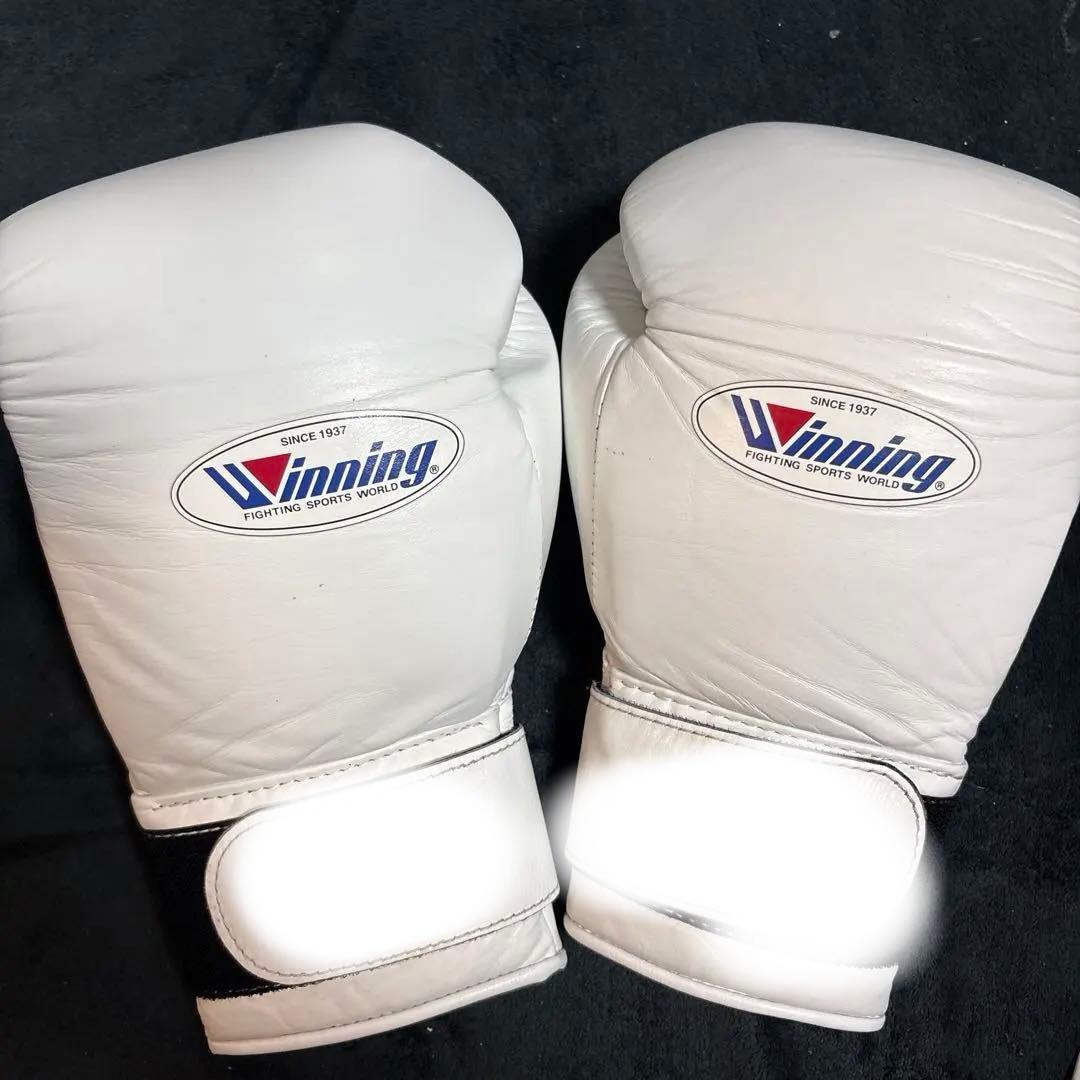 winning グローブ12オンス