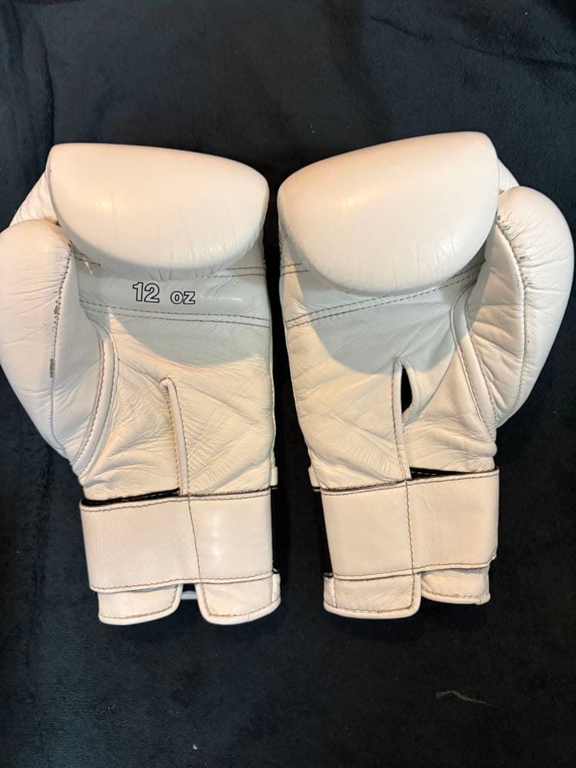 winning グローブ12オンス