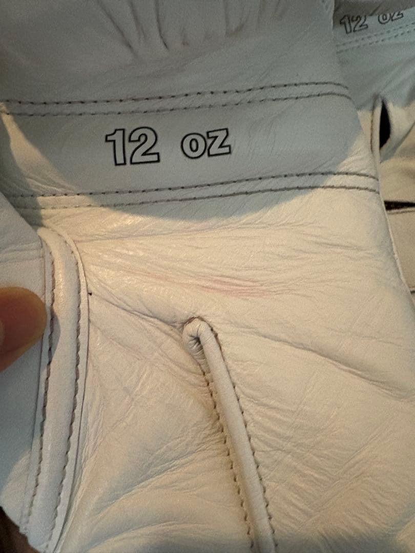 winning グローブ12オンス