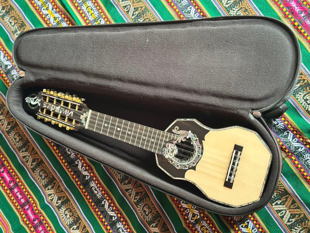チャランゴ フォルクローレ ケース付 charango ケーナ サンポーニャ