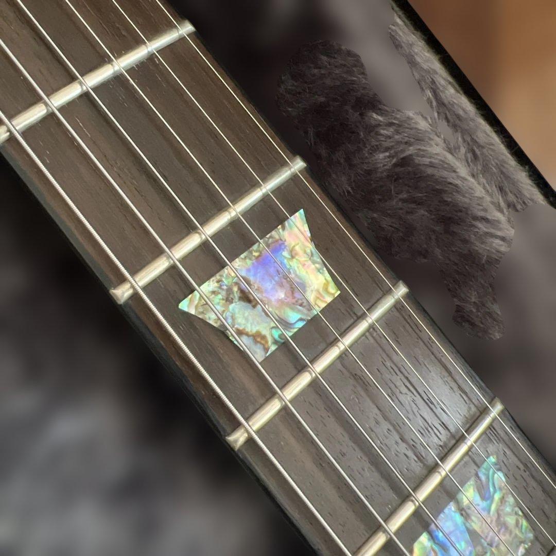 ギター BEATLEZOO Epiphone tak matsumoto dc