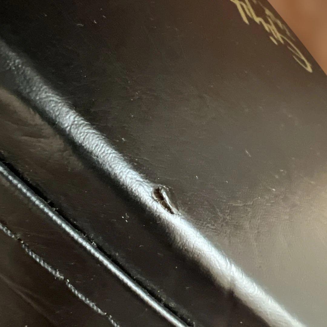 ギター BEATLEZOO Epiphone tak matsumoto dc