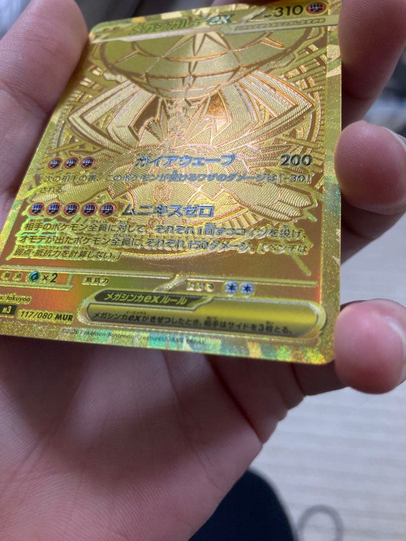 波*リ様 メガジガルデex MUR