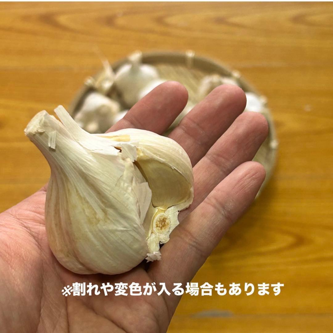 【お買い得セール】青森県 福地ホワイト にんにく L 20kg 　黒にんにく加工