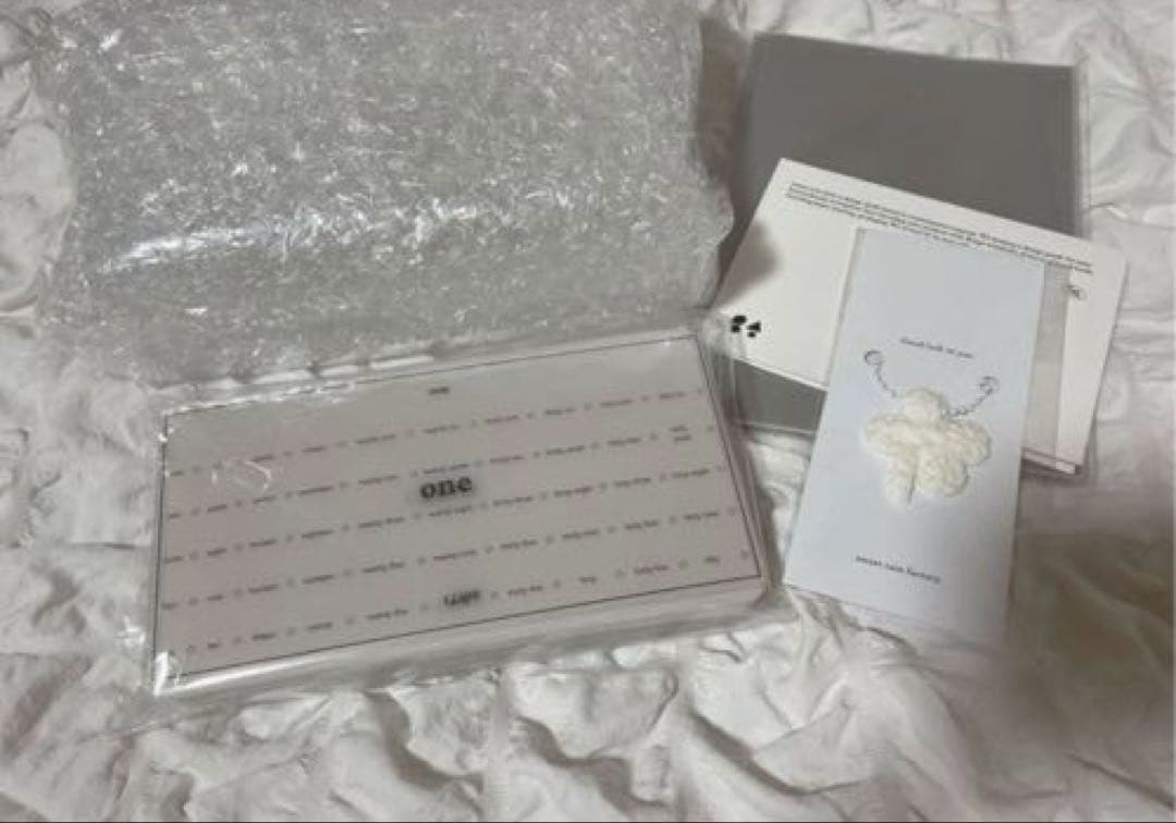 1点のみ 韓国 50ボックス (英語版) 現金 貯金