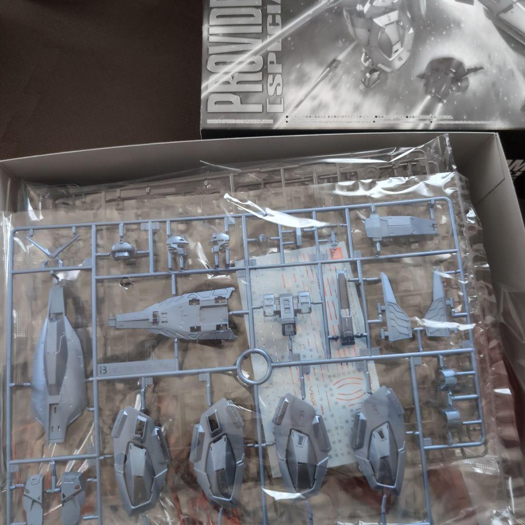 ＭＧ1/100 プロヴィデンスガンダム [スペシャルコーティング