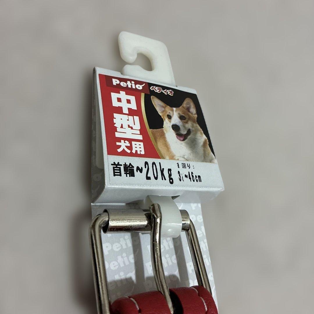 【ペティオ】ペット用　犬　中型犬首輪　7点　新品