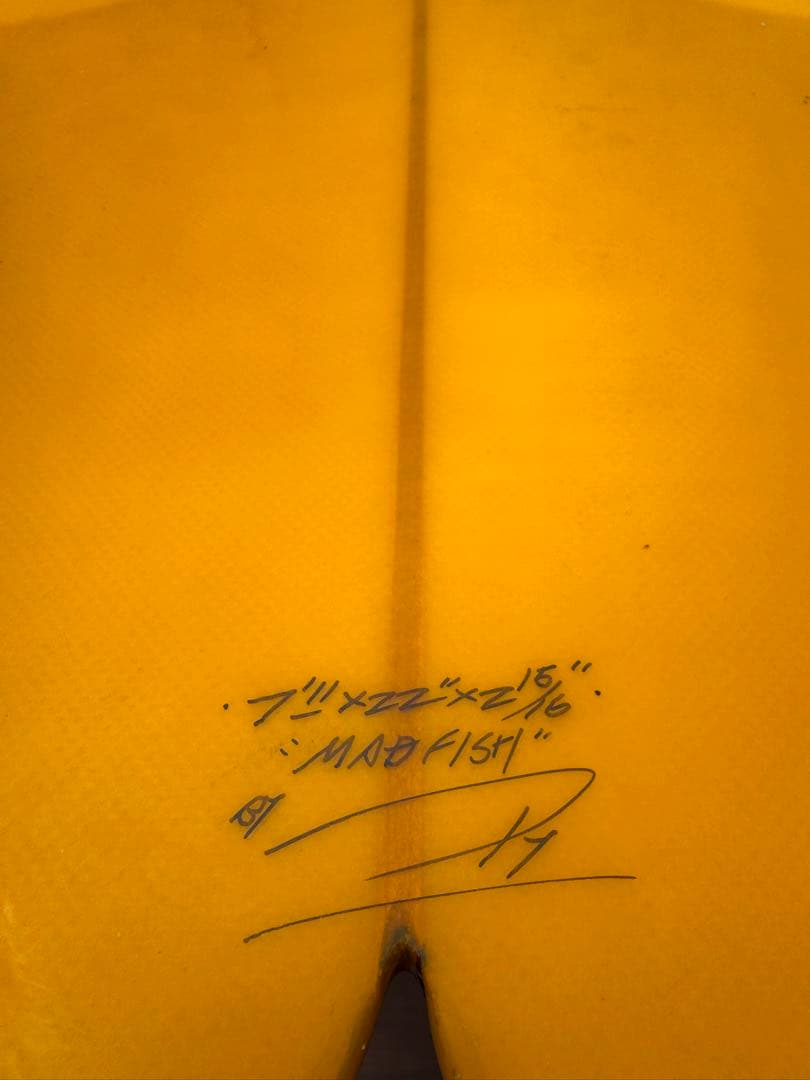 LAZY BOY SKILL MAD FISH TAPPY FIN 付き