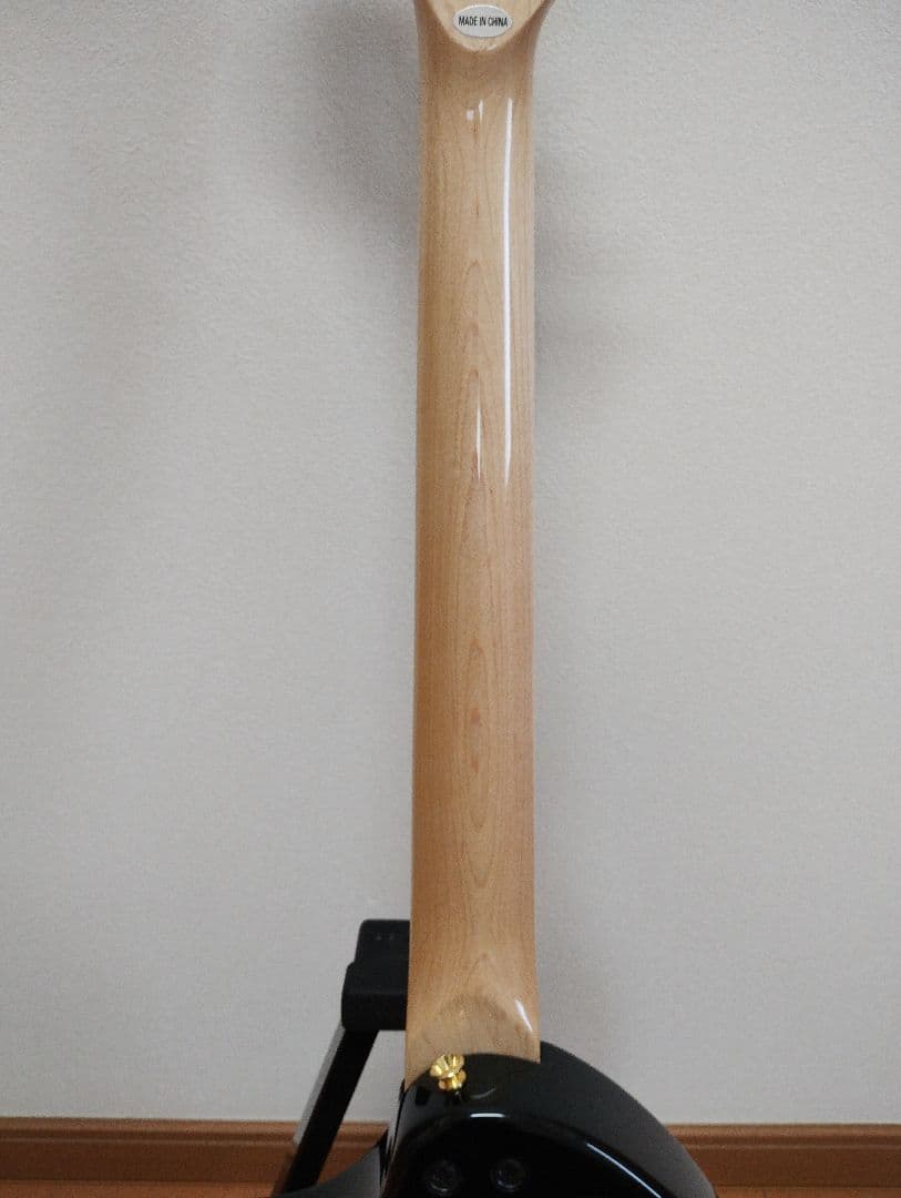 新品未使用 FERNANDES ZO-3 hide PAINT-ZO24