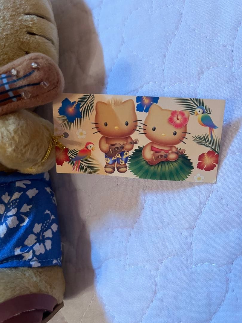 【激レア・新品未使用】日焼けダニエル ギター　ぬいぐるみ　ハイビスカス