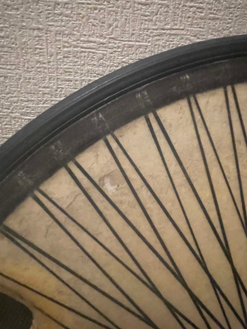 LIGHTWEIGHT ライトウェイトディスクホイール　11Sスプロケ付き