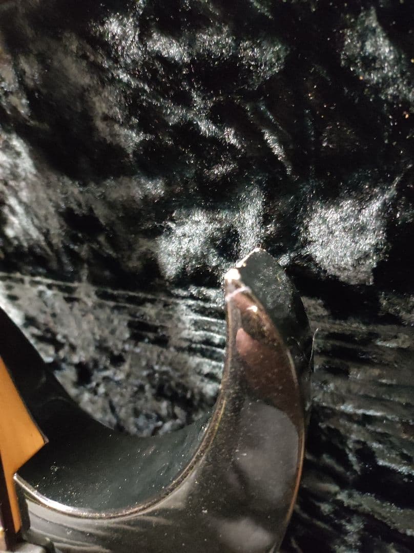 林*様 Ibanez RG2228GK Prestige ケース付 逆輸入